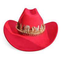 Chapeau Cowboy Feutré – Bande Plumes Décoratives